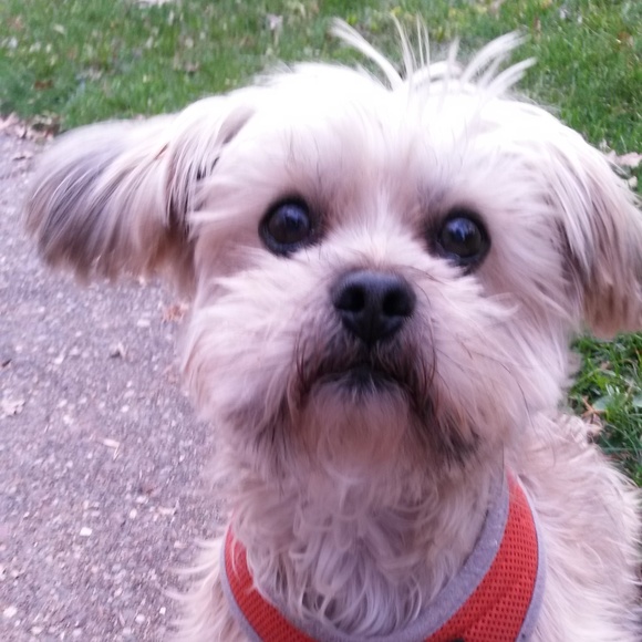 Meet your Posher, Karren - Picture 4 of 5